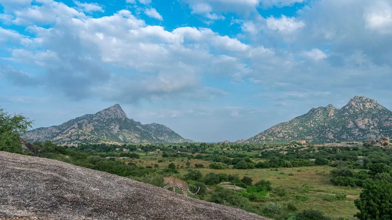 The Leopard Monoliths